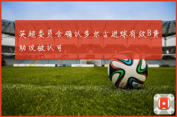 英超委员会确认多尔古进球有效B费助攻被认可