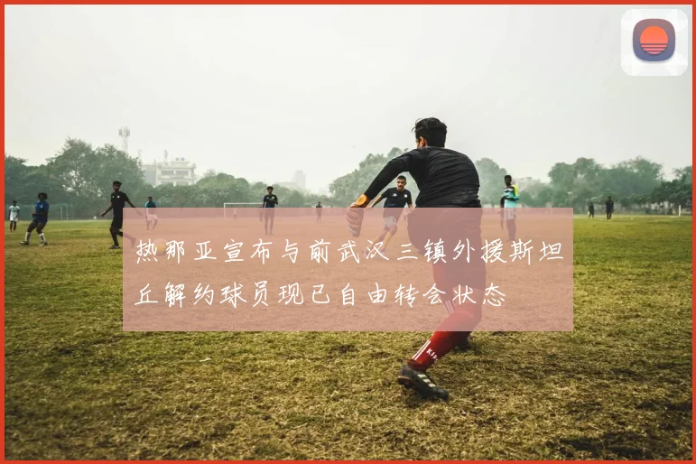 热那亚宣布与前武汉三镇外援斯坦丘解约球员现已自由转会状态