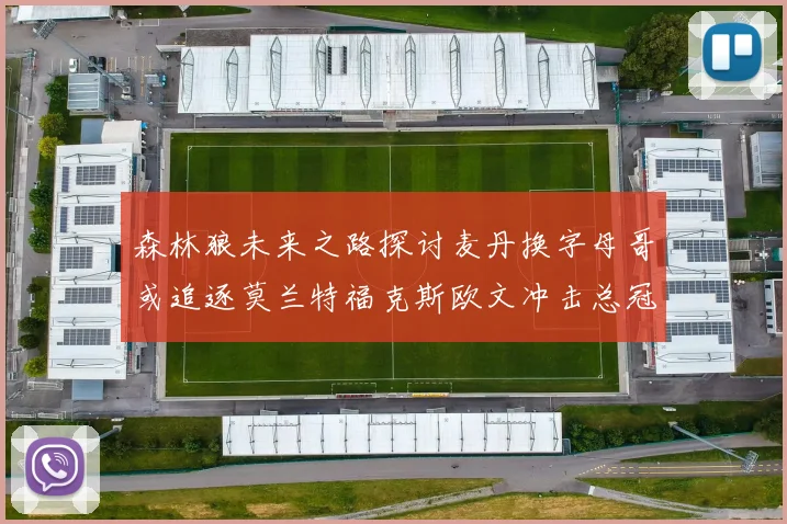 森林狼未来之路探讨麦丹换字母哥或追逐莫兰特福克斯欧文冲击总冠军